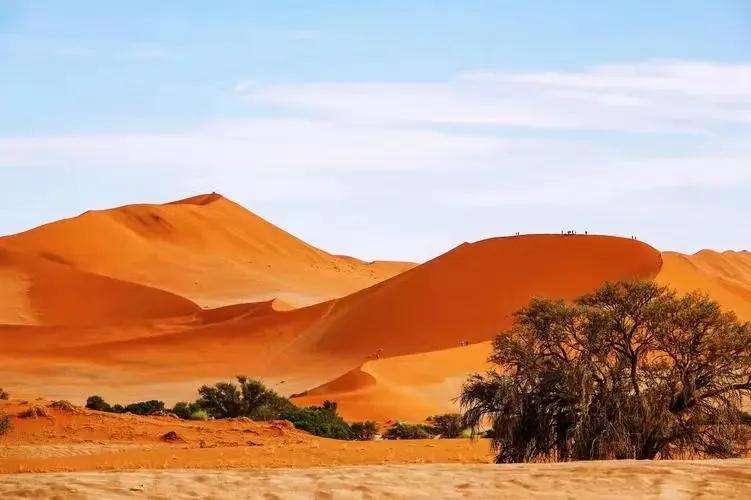 神秘禁区探索_全球十大诡异禁区_欧洲无人区免费正片在哪里看